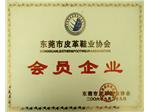 榮譽(yù)證書(shū)